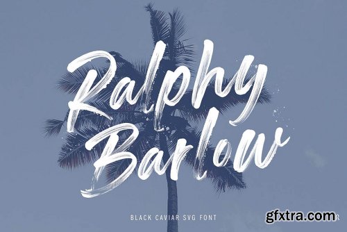 DealJumbo Handwritten Font Collection