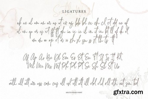 DealJumbo Handwritten Font Collection