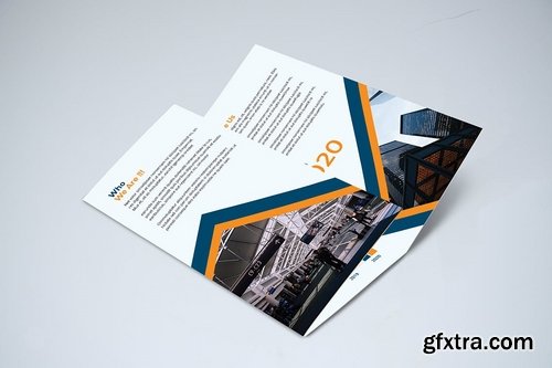 Trifold Modern Brochure