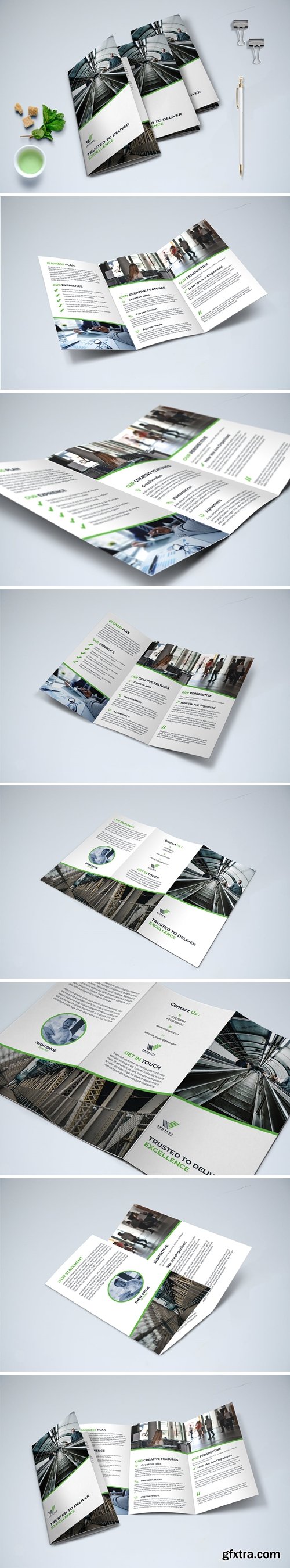 Trifold Business Brochure