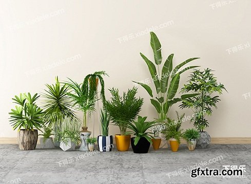 Modern minimalist pot plant combination