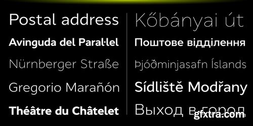 Cyntho Next Font Family