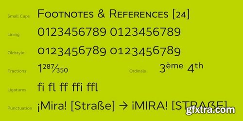 Cyntho Next Font Family