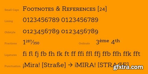 Cyntho Next Slab Font Family