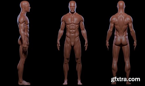 Cgtrader - Realistic Basemesh Male and Female Body - Rigged Low-poly 3D model