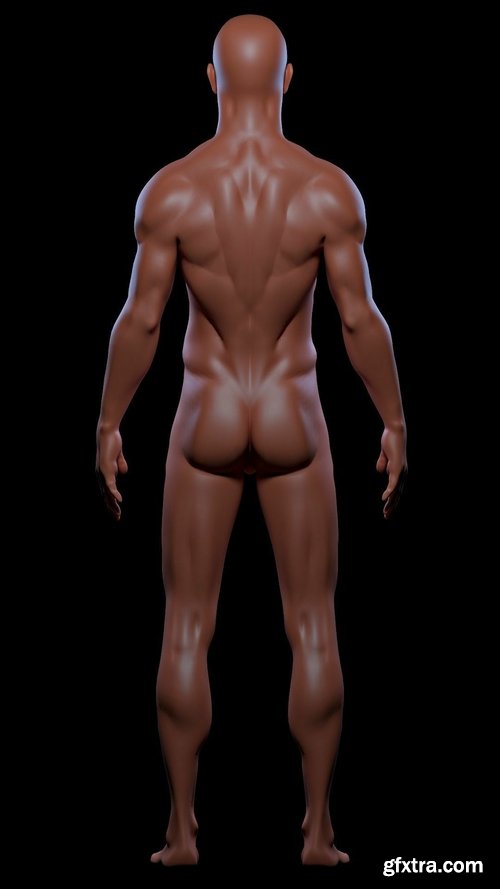 Cgtrader - Realistic Basemesh Male and Female Body - Rigged Low-poly 3D model