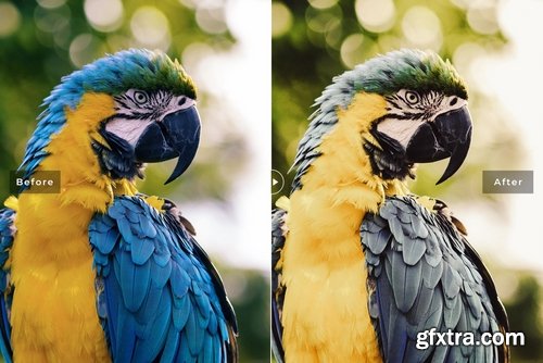 Birds & Wings Mobile & Desktop Lightroom Presets