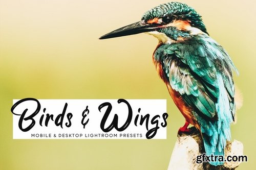 Birds & Wings Mobile & Desktop Lightroom Presets