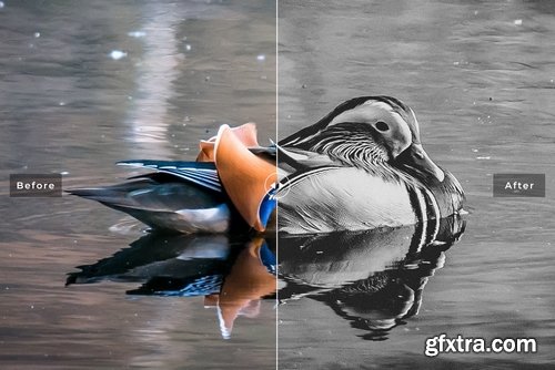 Birds & Wings Mobile & Desktop Lightroom Presets