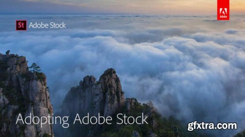 Adopting Adobe Stock