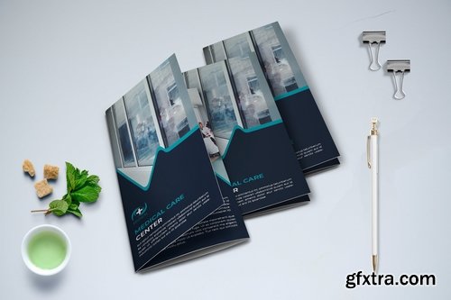 Trifold Medical Brochure