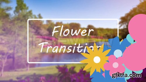 Flower Transitions Pack 222616