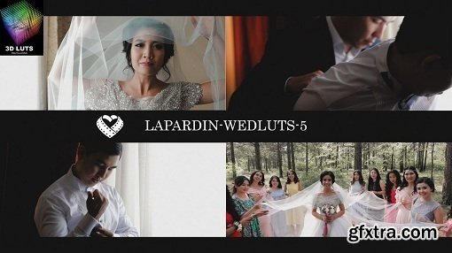 LAPARDIN WEDLUTS - Romantic Wedding LUTs for AE, PS, Premire, Resolve and FCP X and etc... (Win/Mac)