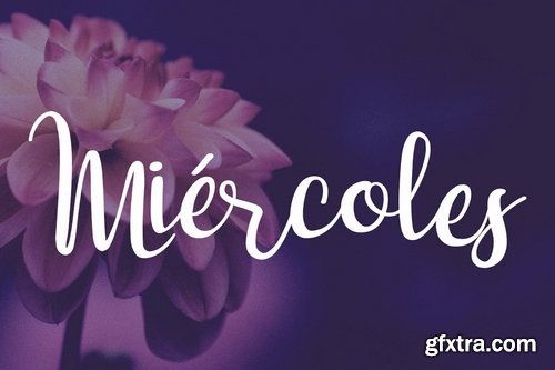 Dulce Ni?a Script Font