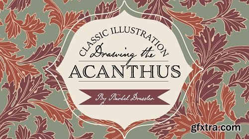 Classic Illustrations - Drawing The Acanthus