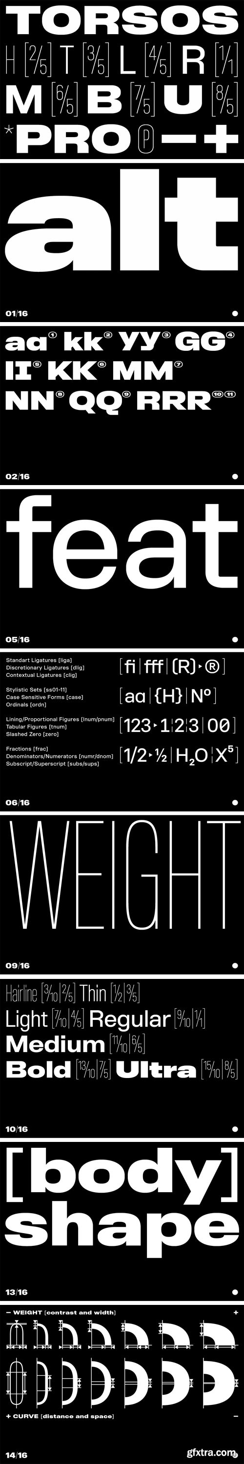 BB Torsos Pro Font Family