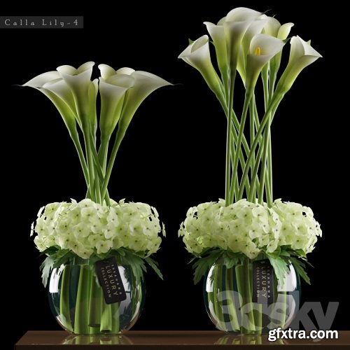 CALLA LILY 3d Model