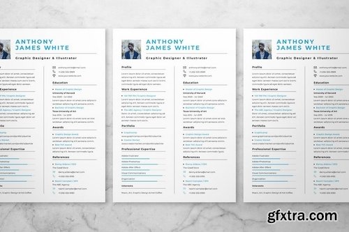 Clean Resume