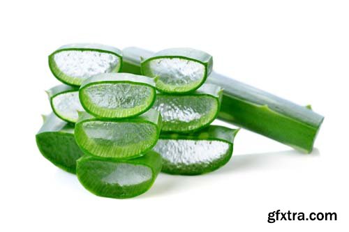 Aloe Vera Isolated - 10xJPGs