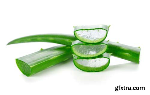 Aloe Vera Isolated - 10xJPGs