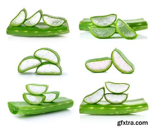 Aloe Vera Isolated - 10xJPGs