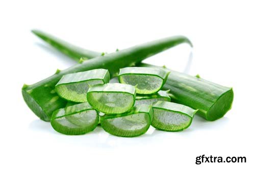 Aloe Vera Isolated - 10xJPGs