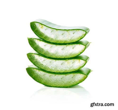 Aloe Vera Isolated - 10xJPGs