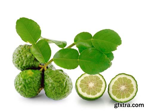 Bergamot Isolated - 15xJPGs