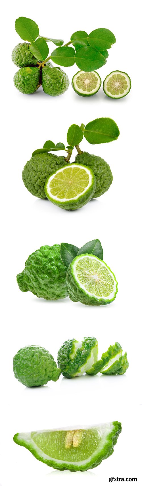 Bergamot Isolated - 15xJPGs