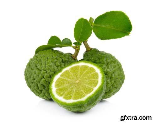 Bergamot Isolated - 15xJPGs