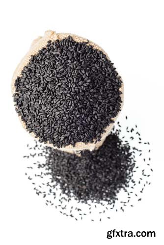 Black Sesame Seeds Isolated  -10xJPGs