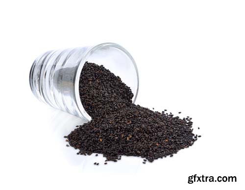 Black Sesame Seeds Isolated  -10xJPGs