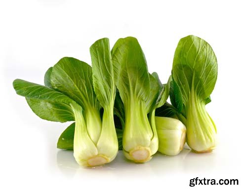 Bok Choy (Chinese Cabbage) Isolated - 9xJPGs