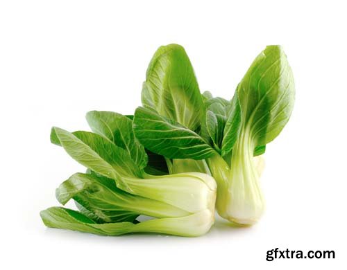 Bok Choy (Chinese Cabbage) Isolated - 9xJPGs