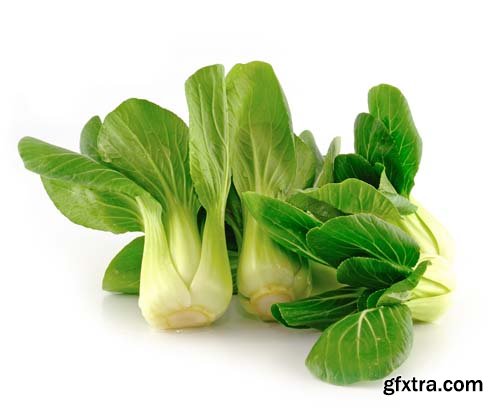 Bok Choy (Chinese Cabbage) Isolated - 9xJPGs