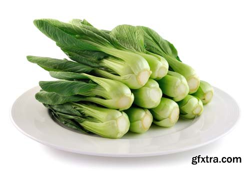 Bok Choy (Chinese Cabbage) Isolated - 9xJPGs