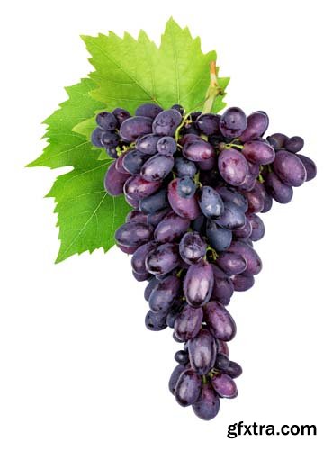 Branch Of Grapes Isolated  -6xJPGs