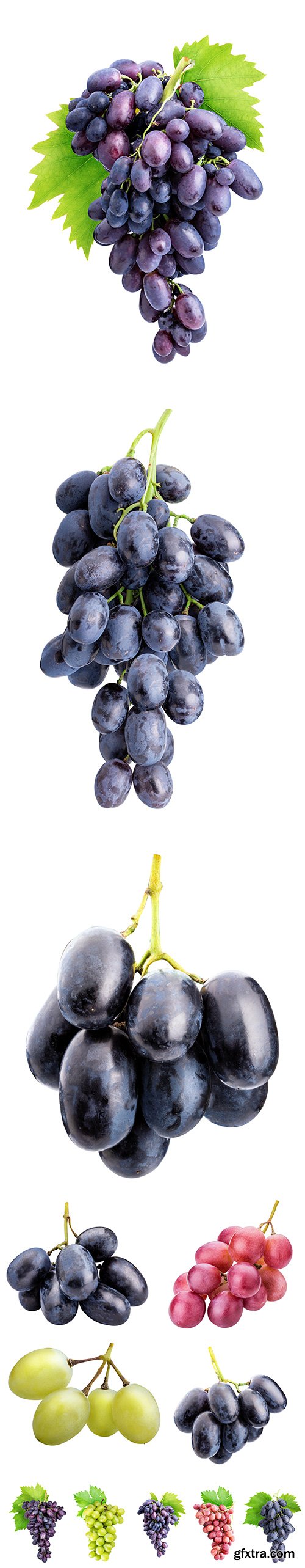 Branch Of Grapes Isolated  -6xJPGs