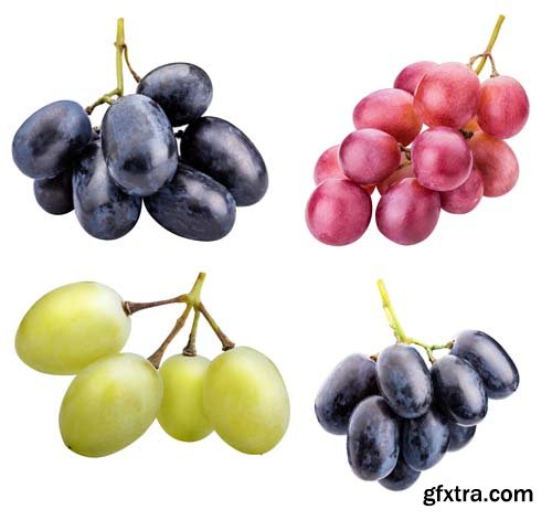 Branch Of Grapes Isolated  -6xJPGs