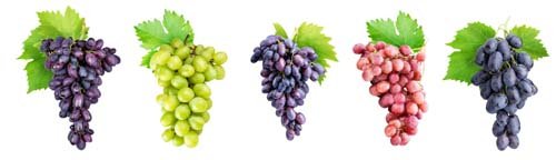 Branch Of Grapes Isolated  -6xJPGs