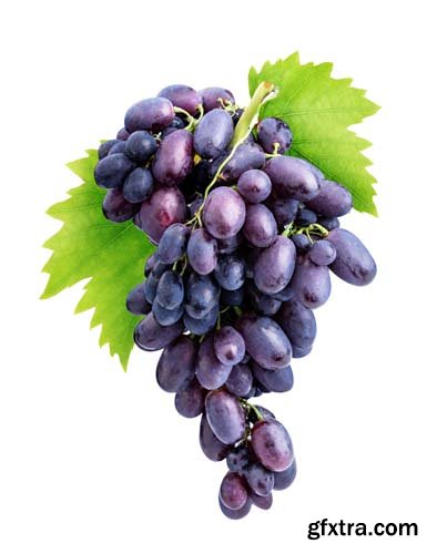 Branch Of Grapes Isolated  -6xJPGs