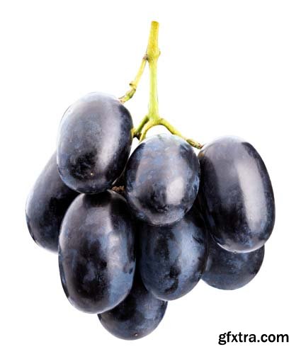 Branch Of Grapes Isolated  -6xJPGs