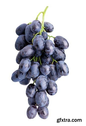 Branch Of Grapes Isolated  -6xJPGs