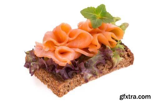 Bread With Fresh Salmon Fillet Isolated - 10xJPGs