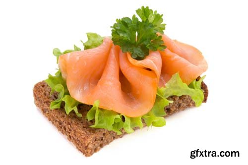 Bread With Fresh Salmon Fillet Isolated - 10xJPGs