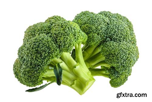 Broccoli Isolated - 10xJPGs