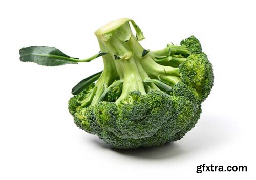 Broccoli Isolated - 10xJPGs