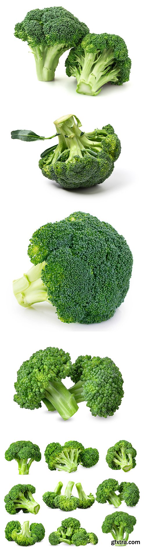 Broccoli Isolated - 10xJPGs