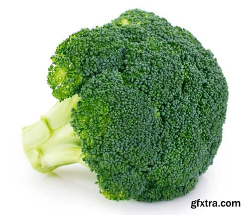 Broccoli Isolated - 10xJPGs