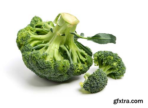 Broccoli Isolated - 10xJPGs